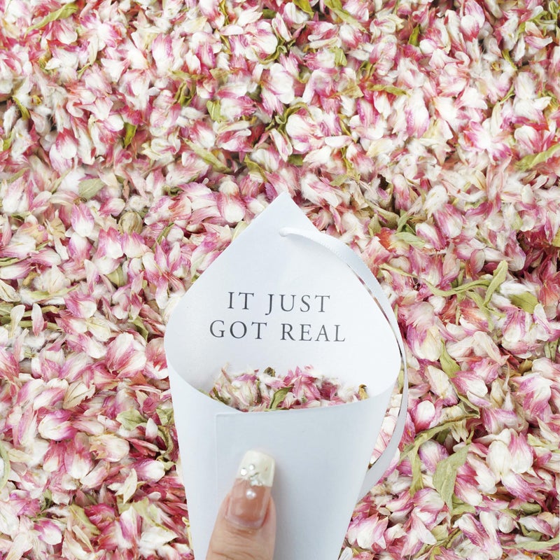 Rainbow Pana RainbowPana 30 Pack Biodegradable Confetti with Preassembled Hanging Cones Cones Ribbon Dried Flower Petals Wedding Confetti Dried Real Flower Petals Wedding SendOff Ideas - Image 2