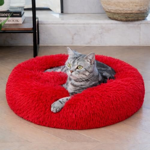 ZEXSAZONE Summer Small Cat Bed Donut Shape for Kittens & Small Dogs | Soft Plush Washable Puppy Bed | Raised Sides for Head & Neck Support | Reversible 2-in-1 Pet Cushion Red - Image 1