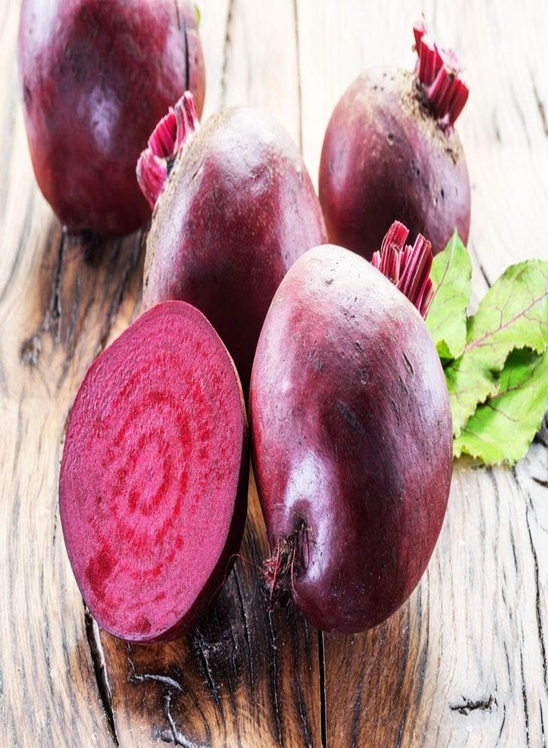 جي جوت 100 قطعة من بذور البنجر للزراعة - ازرع خضراوات خارجية في حديقة منزلك - Image 2