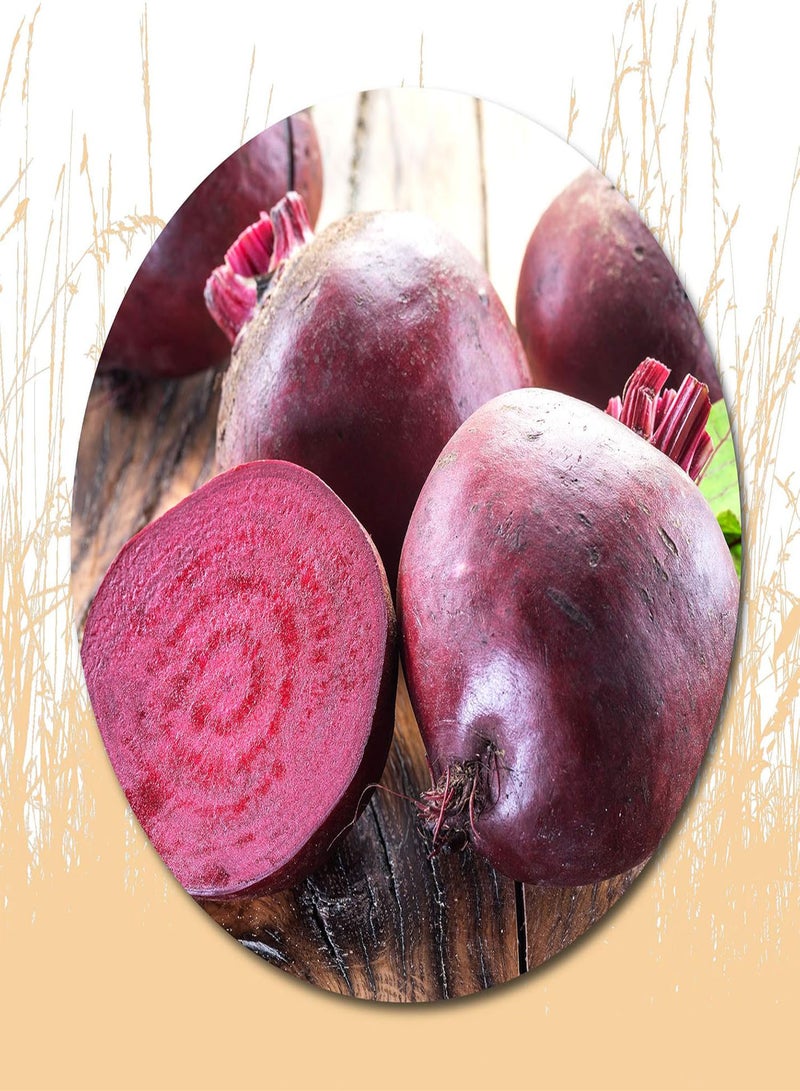 جي جوت 100 قطعة من بذور البنجر للزراعة - ازرع خضراوات خارجية في حديقة منزلك - Image 1