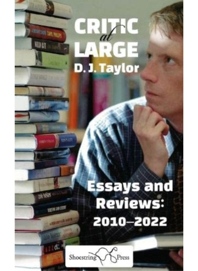Critic at Large Essays and Rreviews 2010 2022 - Paperback