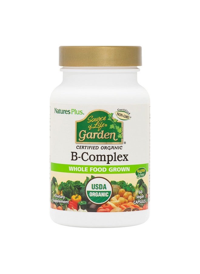 ناتشرز بلاس - Nature's Plus Source of Life Garden Certified Organic B Complex - 60 كبسولة نباتية - مكمل غذائي كامل من فيتامين ب، معزز للطاقة - نباتي، خالٍ من الجلوتين - 30 وجبة - Image 1