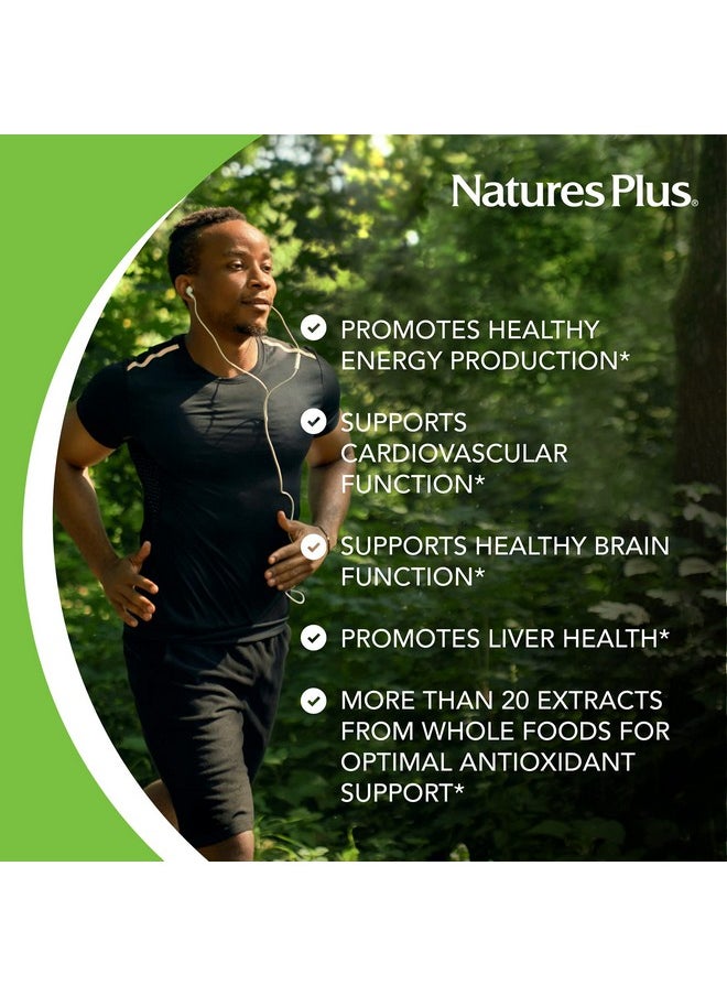 ناتشرز بلاس - Nature's Plus Source of Life Garden Certified Organic B Complex - 60 كبسولة نباتية - مكمل غذائي كامل من فيتامين ب، معزز للطاقة - نباتي، خالٍ من الجلوتين - 30 وجبة - Image 1