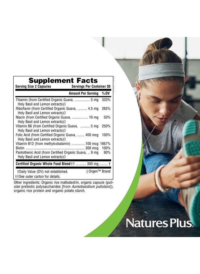 ناتشرز بلاس - Nature's Plus Source of Life Garden Certified Organic B Complex - 60 كبسولة نباتية - مكمل غذائي كامل من فيتامين ب، معزز للطاقة - نباتي، خالٍ من الجلوتين - 30 وجبة - Image 1