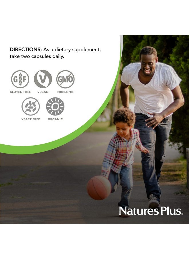 ناتشرز بلاس - Nature's Plus Source of Life Garden Certified Organic B Complex - 60 كبسولة نباتية - مكمل غذائي كامل من فيتامين ب، معزز للطاقة - نباتي، خالٍ من الجلوتين - 30 وجبة - Image 1