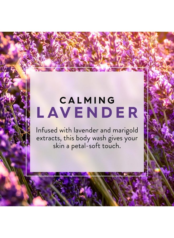 جيسون غسول الجسم المهدئ باللافندر من جيسون، لشعور لطيف بالنظافة، 30 أونصة سائلة - Image 3