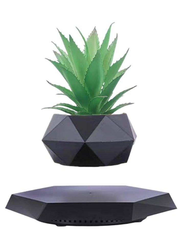 evitating Plant Floating Plant Succul0ents Air Bonsai Plants - Image 1