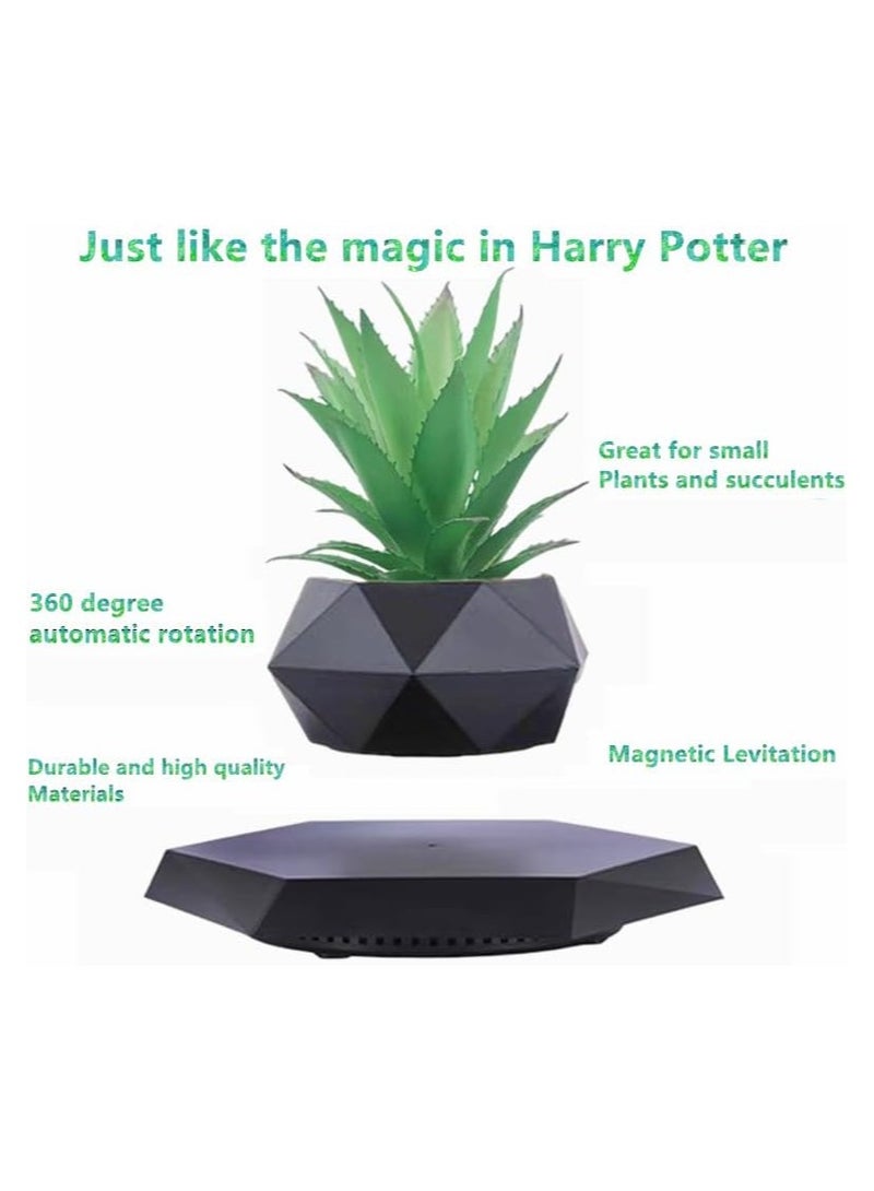 evitating Plant Floating Plant Succul0ents Air Bonsai Plants - Image 2