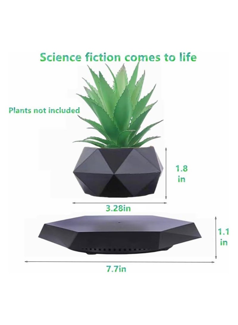 evitating Plant Floating Plant Succul0ents Air Bonsai Plants - Image 4