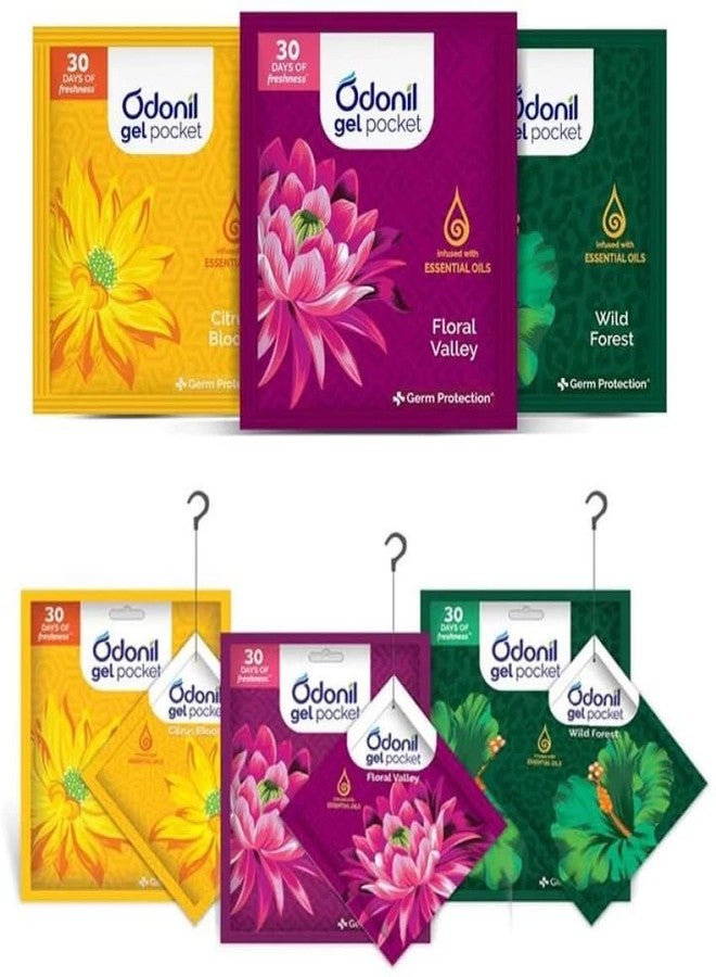 Odonil Floral valley, Citrus bloom, Wild forest Aroma Oil (6 x 10 g) - Image 1