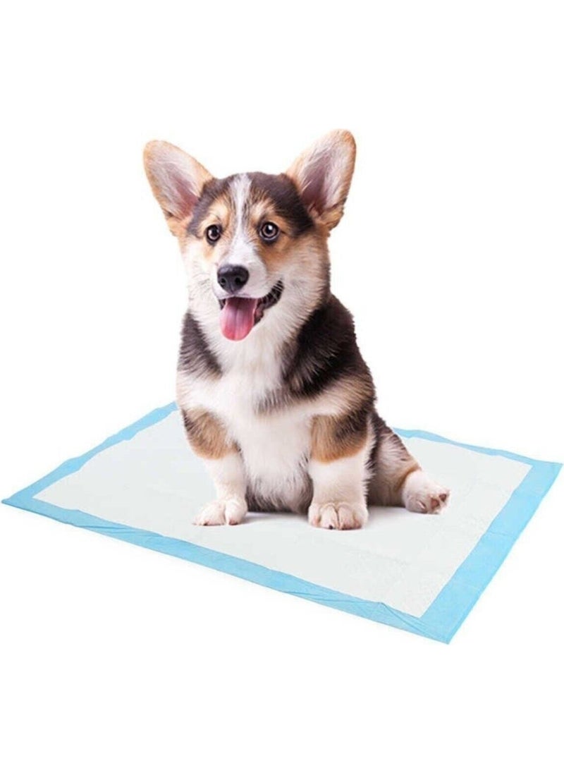 Onlyone 60X90 Cat Dog Pee Pad 60 Pieces Cat  - Image 1
