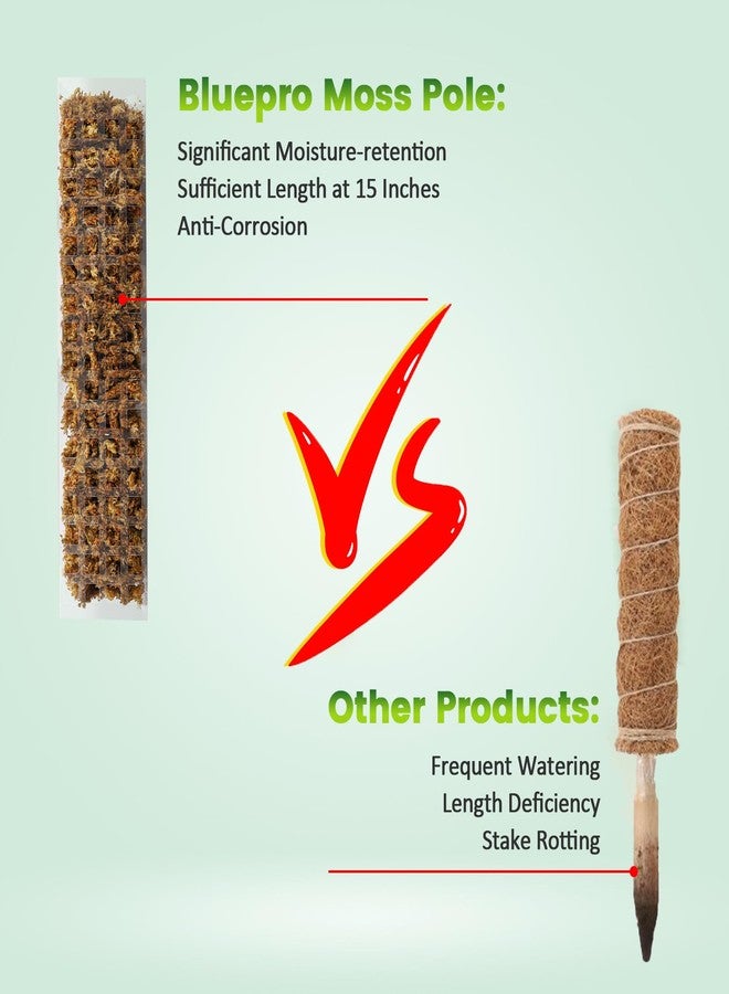 Bluepro 6 Pcs 15 Inch Plastic Moss Pole for Plants Monstera, 6×15'' Plant Poles for Climbing Plants, Plant Support for Indoor Plants Work with Sphagnum Moss - Image 4