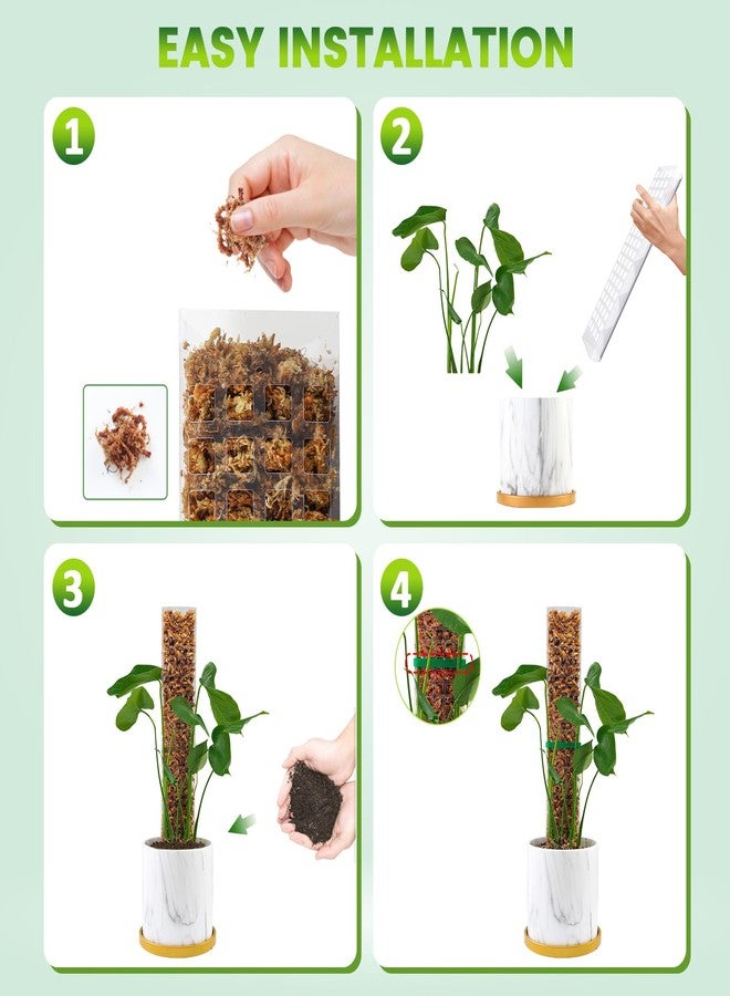 Bluepro 6 Pcs 15 Inch Plastic Moss Pole for Plants Monstera, 6×15'' Plant Poles for Climbing Plants, Plant Support for Indoor Plants Work with Sphagnum Moss - Image 5
