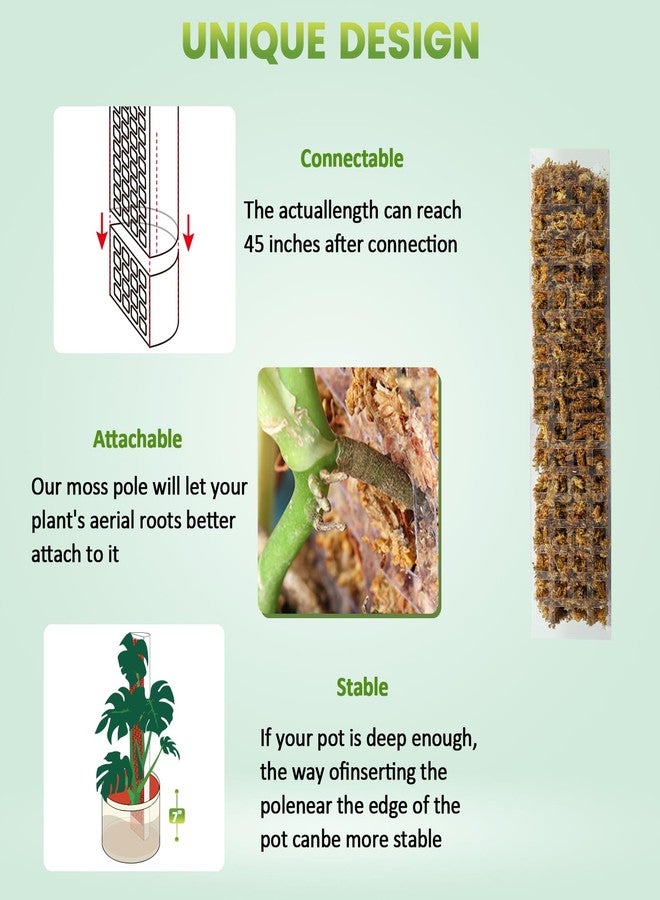 Bluepro 6 Pcs 15 Inch Plastic Moss Pole for Plants Monstera, 6×15'' Plant Poles for Climbing Plants, Plant Support for Indoor Plants Work with Sphagnum Moss - Image 3