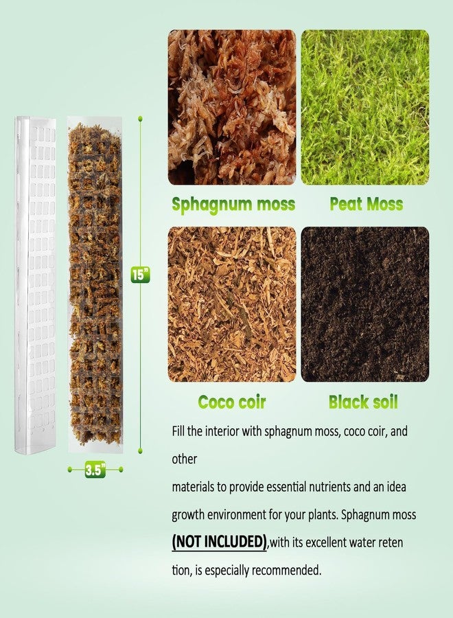 Bluepro 6 Pcs 15 Inch Plastic Moss Pole for Plants Monstera, 6×15'' Plant Poles for Climbing Plants, Plant Support for Indoor Plants Work with Sphagnum Moss - Image 2