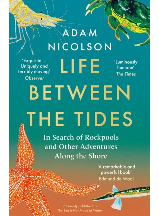 Life Between the Tides In Search of Rockpools and Other Adventures Along the Shore - Paperback