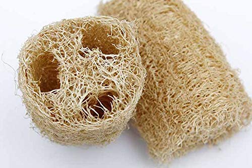 GNR Organic Natural Body Scrub Loofah for Bathing - 4 Pcs Pack - Image 4