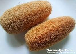 GNR Organic Natural Body Scrub Loofah for Bathing - 4 Pcs Pack - Image 3