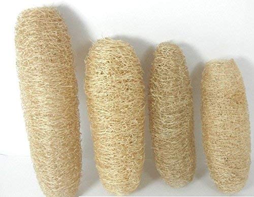 GNR Organic Natural Body Scrub Loofah for Bathing - 4 Pcs Pack - Image 1