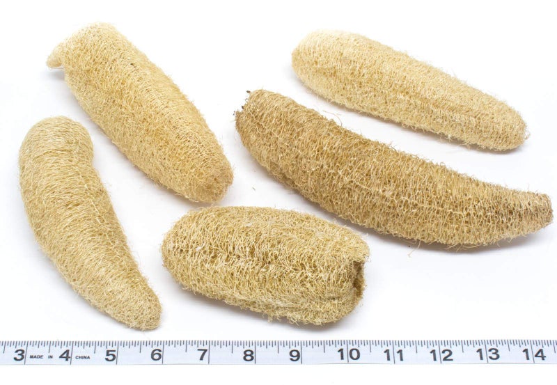 GNR Organic Natural Body Scrub Loofah for Bathing - 4 Pcs Pack - Image 2