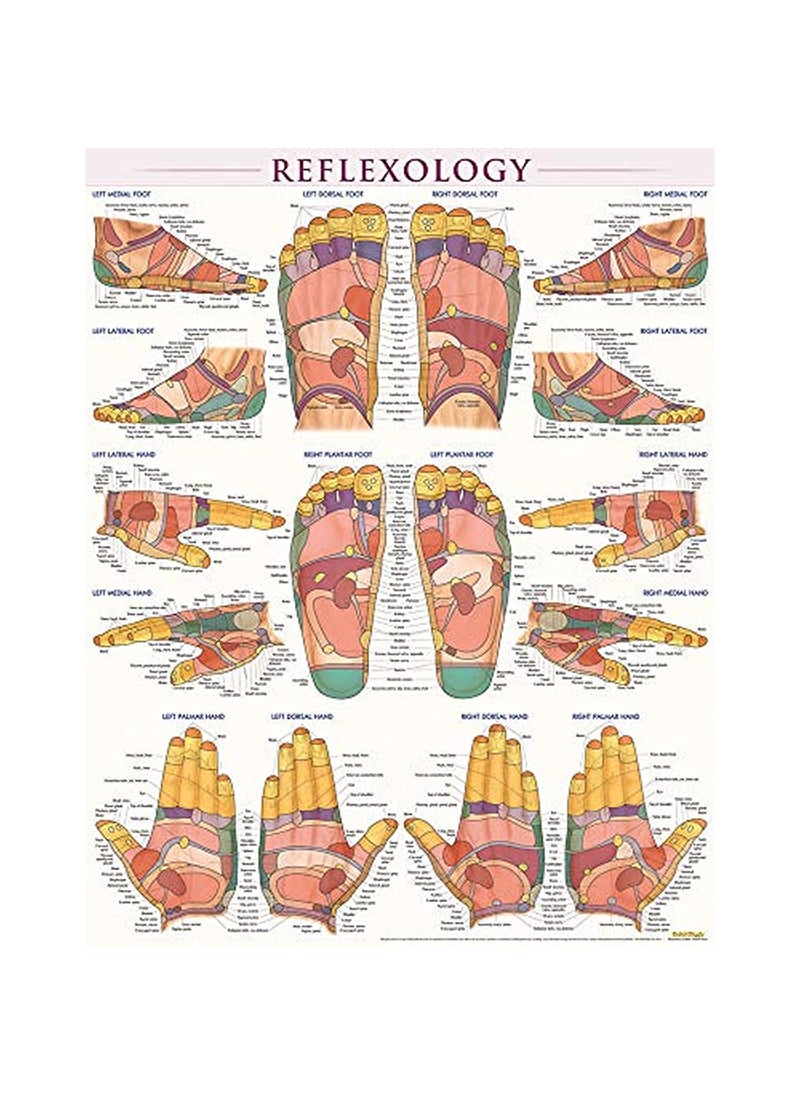 INC ReflexologyLaminated 