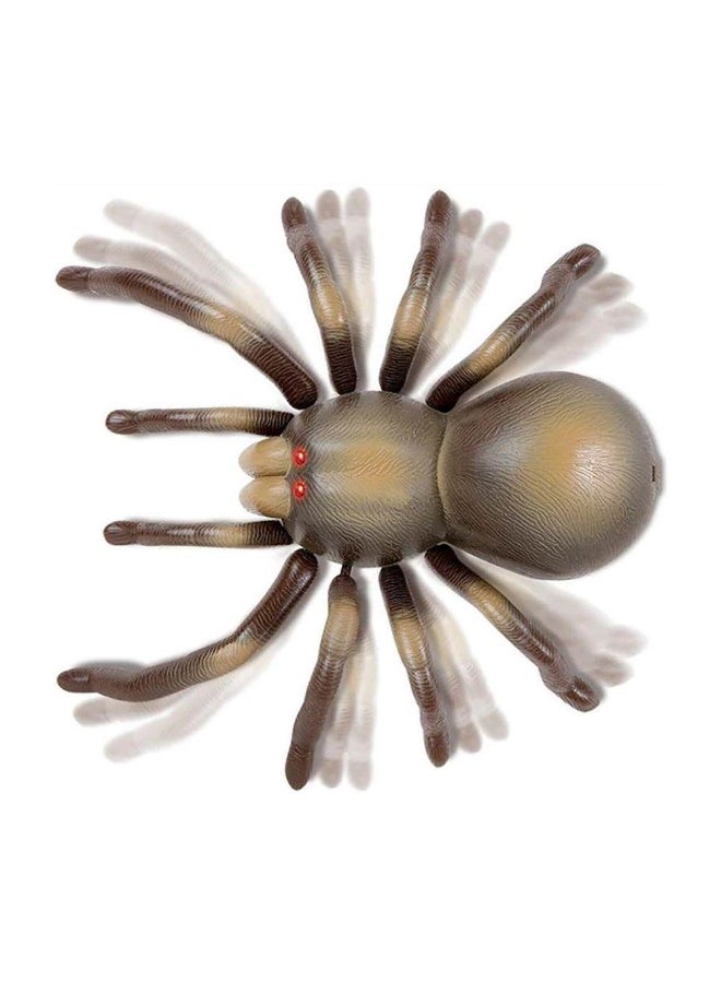 ديسكفري لعبة الرتيلاء العنكبوت RC - Image 3