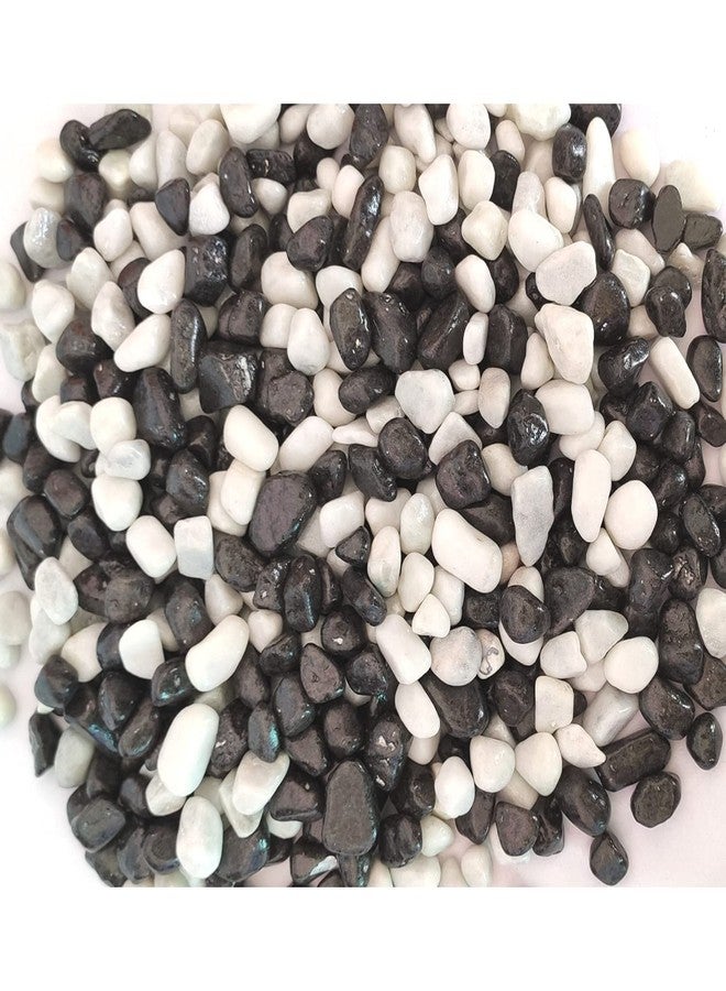 Ercole® Decorative Coloured Painted Asymmetric Marble Stone Pebbles for Vase Filler Plant Pots Aquarium Home Garden Outdoor Decoration (Black & White, 500 Grams) - Image 1