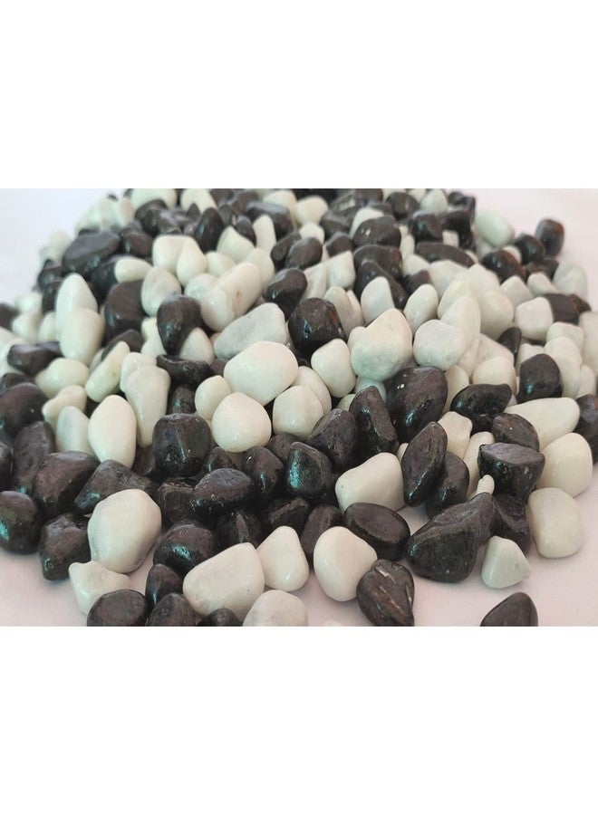 Ercole® Decorative Coloured Painted Asymmetric Marble Stone Pebbles for Vase Filler Plant Pots Aquarium Home Garden Outdoor Decoration (Black & White, 500 Grams) - Image 3