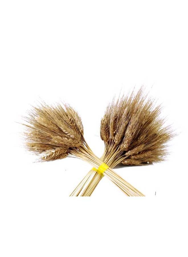 Generic Natural Dried Multi-Coloured Wheat Grass Bouquet Bundle (50, Gold)  - Image 2