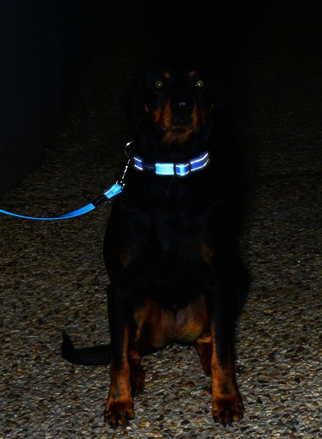 Rogz Reflective Dog Leash for Extra Large Dogs, 1" wide, 6' long, Orange - Image 4