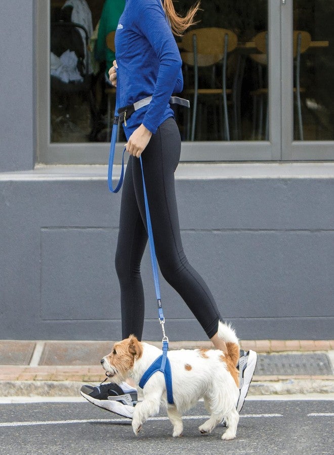 Rogz Reflective Dog Leash for Extra Large Dogs, 1" wide, 6' long, Orange - Image 2