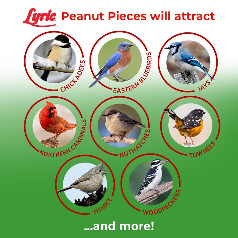 Lyric Peanut Pieces Wild Bird Seed 15 lb Bag - Shelled Peanuts Wild Bird Food for Outside Feeders - Attracts Titmice, Woodpeckers, Chickadees & More - Image 4