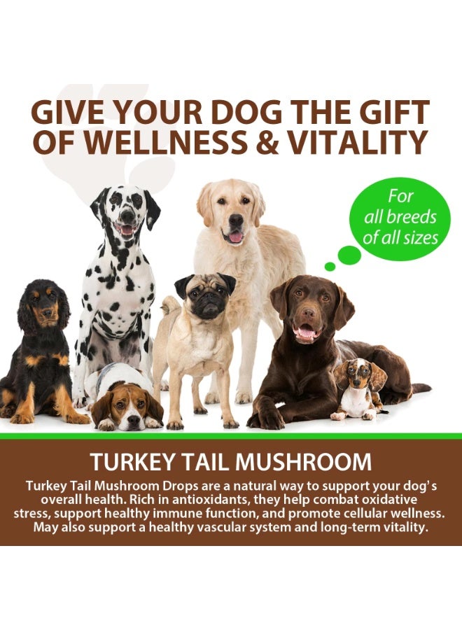 Oimmal فطر ذيل الديك الرومي للكلاب 60 مل، دفاع مناعي حاسم للكلاب، مستخلص سائل من فطر ذيل الديك الرومي لقطرات المناعة والهضم للحيوانات الأليفة، مع 5X فطر، كركم وبروبيوتيك - Image 3