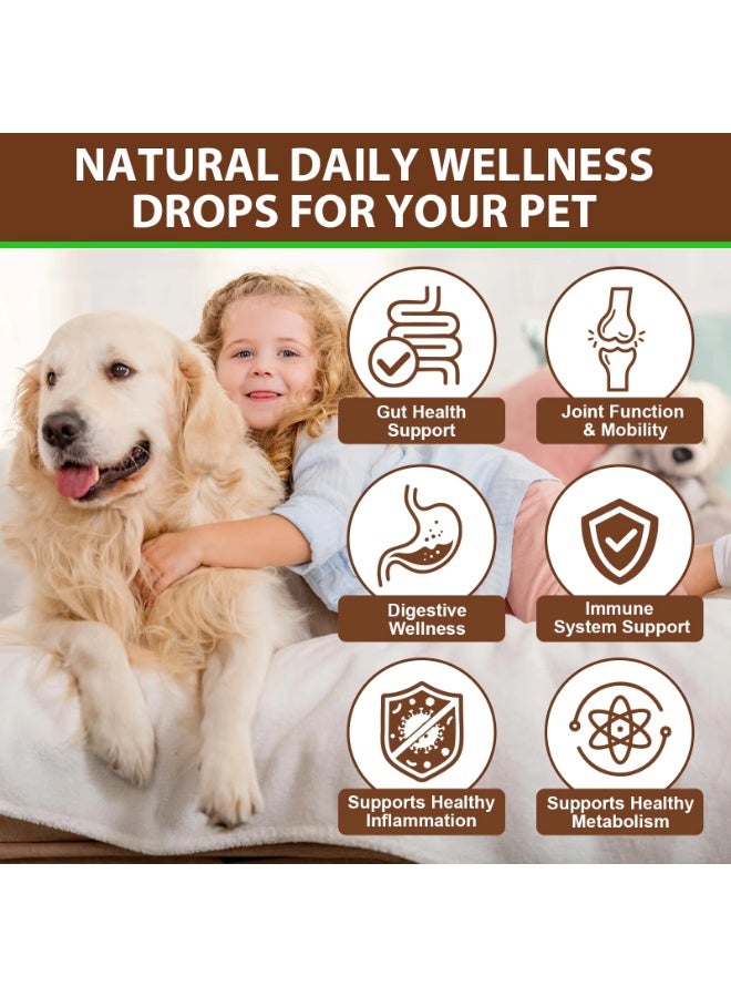 Oimmal فطر ذيل الديك الرومي للكلاب 60 مل، دفاع مناعي حاسم للكلاب، مستخلص سائل من فطر ذيل الديك الرومي لقطرات المناعة والهضم للحيوانات الأليفة، مع 5X فطر، كركم وبروبيوتيك - Image 5