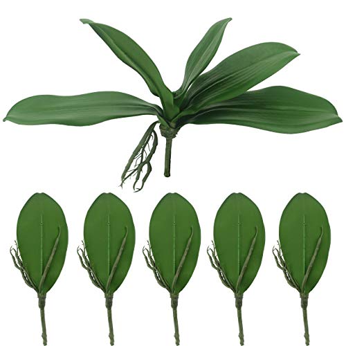 Tinsow Artificial Green Phalaenopsis Simulation Moth Orchid Leaf Real Latex Touch Green Plant for Flowers Garden Bonsai Decor (5, 9.5"/5 Leaves) - Image 1