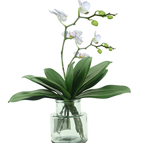 Tinsow Artificial Green Phalaenopsis Simulation Moth Orchid Leaf Real Latex Touch Green Plant for Flowers Garden Bonsai Decor (5, 9.5"/5 Leaves) - Image 3