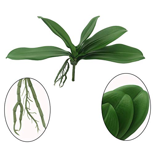 Tinsow Artificial Green Phalaenopsis Simulation Moth Orchid Leaf Real Latex Touch Green Plant for Flowers Garden Bonsai Decor (5, 9.5"/5 Leaves) - Image 2
