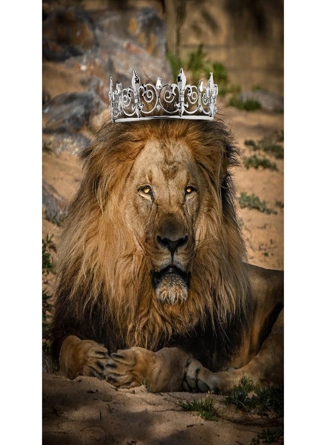 AOPRIE Birthday King Crown and Sash for Men Costume Headwear for Men Birthday Party Decoration Black, 2 Pack - Image 5