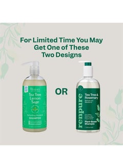 Renpure Renpure Plant Based Tea Tree and Rosemary Refresh and Rebalance Shampoo - Soothes Dry Scalp - Delivers Moisture and Shine - Rids Hair of Grime - Dye Free - Recyclable, Pump Bottle Design - 24 fl oz  - Image 1