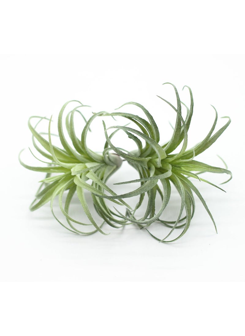 ZJCilected ZJCilected 2PCS Artificial Flocking Tillandsia Air Plants Faux Succulents Bromeliads for IndoorOutdoor Garden and Home Decor Terrarium Decorations Arrangements Office and DisplaysSmall 
