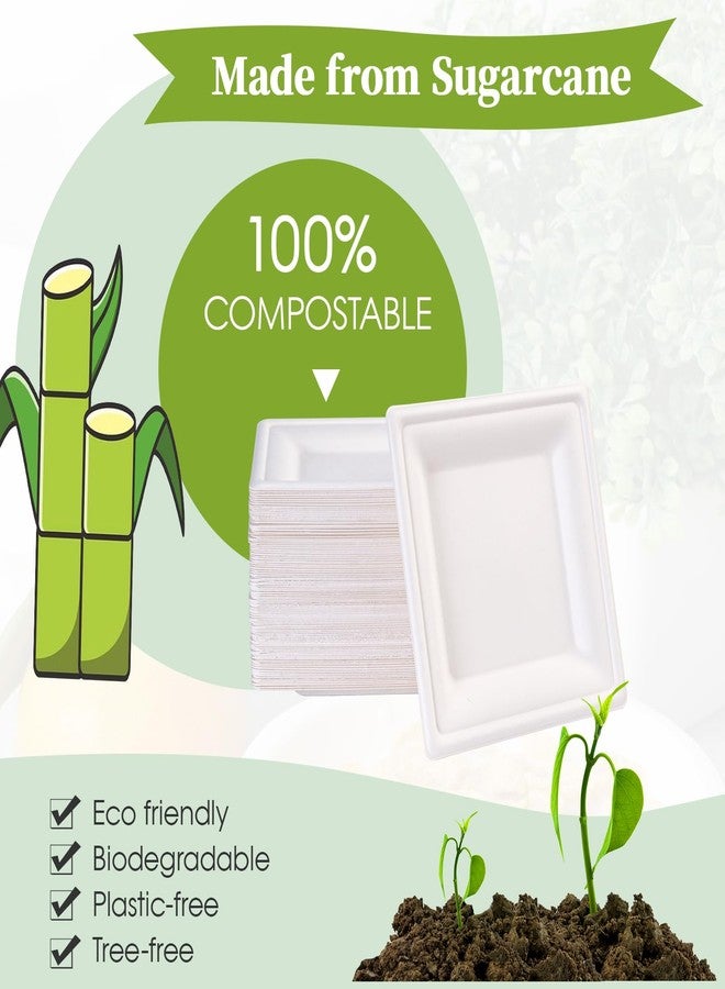 ECOLipak 6 Inch Compostable Square Paper Plates, 300 Count Heavy Duty White Small Paper Appetizer Plates, Disposable Biodegradable for Dessert Daily meals, Dinner, Parties, BBQ - Image 4