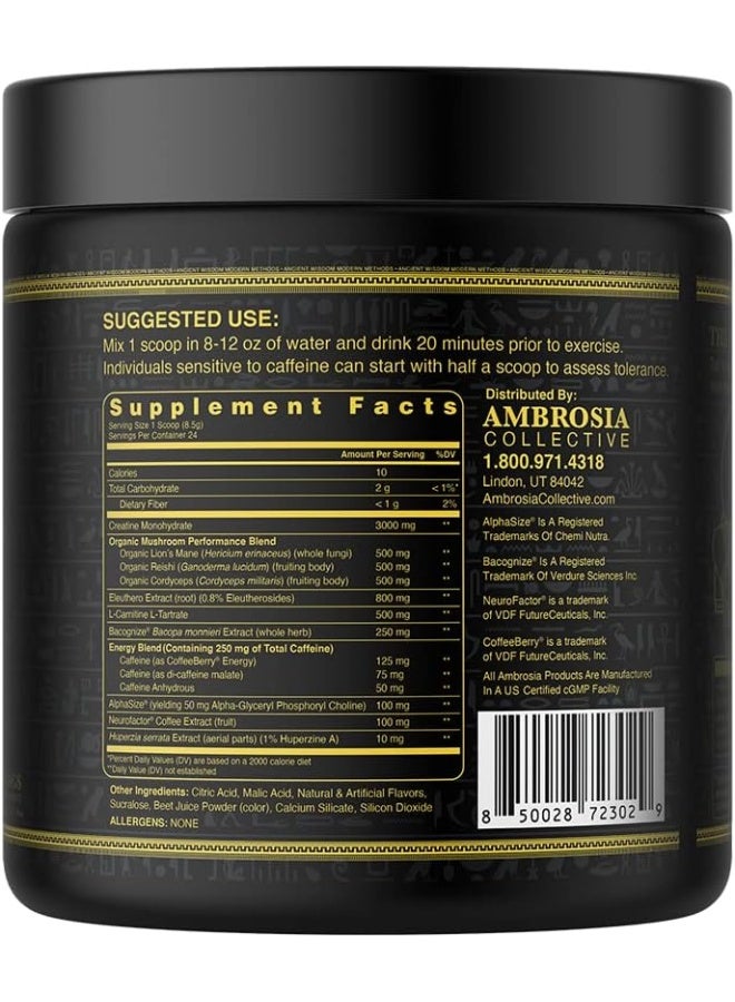 Ambrosia Kinetic Organic Preworkout, Mushroom Enhanced Natural Pre Workout Supplement, Nootropic Superfood Powder For Energy Strawberry Guava - Image 3