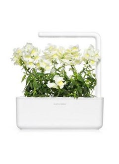 CLICK AND GROW Click  Grow White Snapdragon  3pack  - Image 2