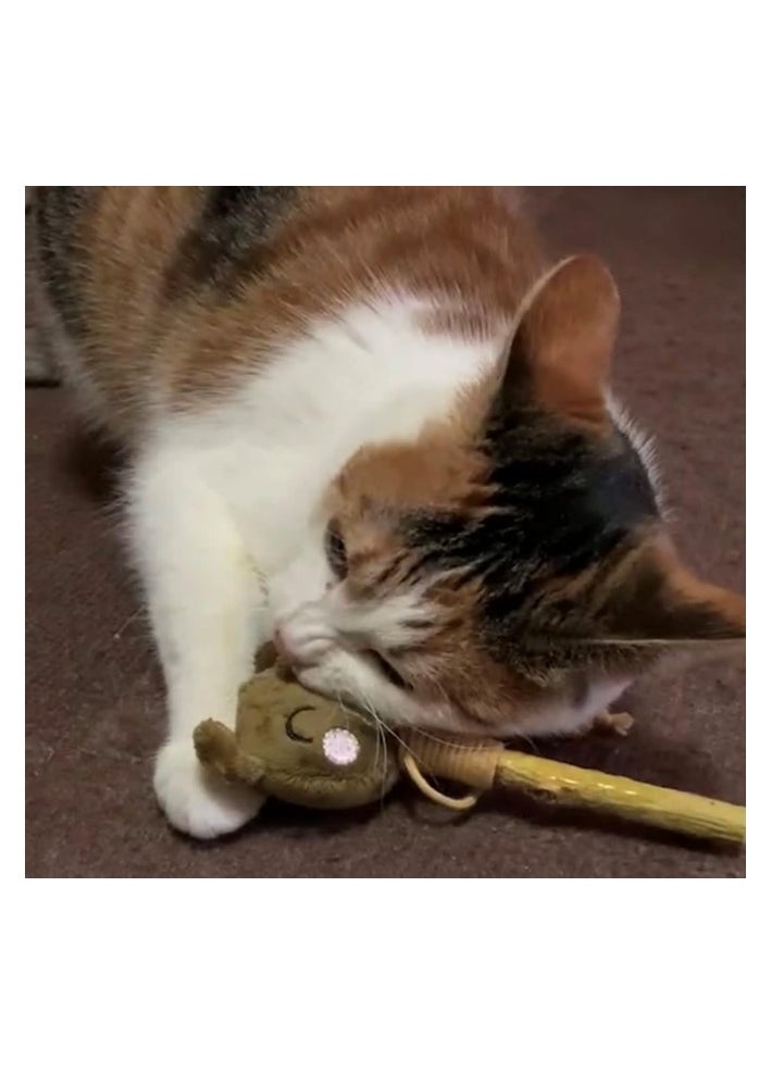 Gigwi Bear Catch & Scratch Eco Line - Interactive Cat Toy with Silvervine Leaves and Stick