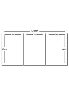 Marktna Three Wall Panels 120x60cm With an Abstract Design Golden Frame And a Transparent Acrylic Layer 0.5kg  - Image 3