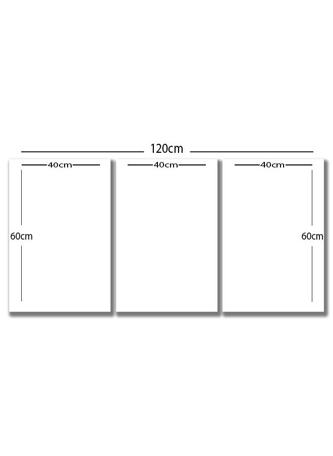 Marktna - Three Wall Panels 120x60cm With an Abstract Design Golden Frame And a Transparent Acrylic Layer 0.5kg - Image 1