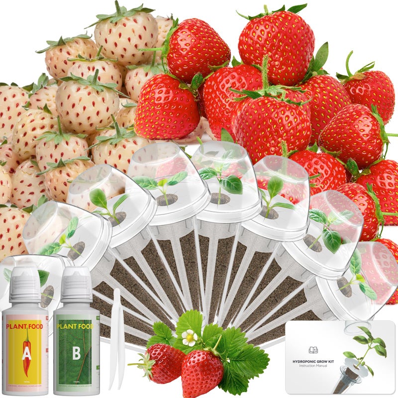 LYKOCLEAN Hydroponic Seed Pod Kit Compatible with AeroGarden, Ahopegarden, iDoo, MUFGA, 8 Pods Complete Growing Anything Garden Supply with Strawberry Seeds, Grow Sponges, Baskets, Domes, Labels - Image 1