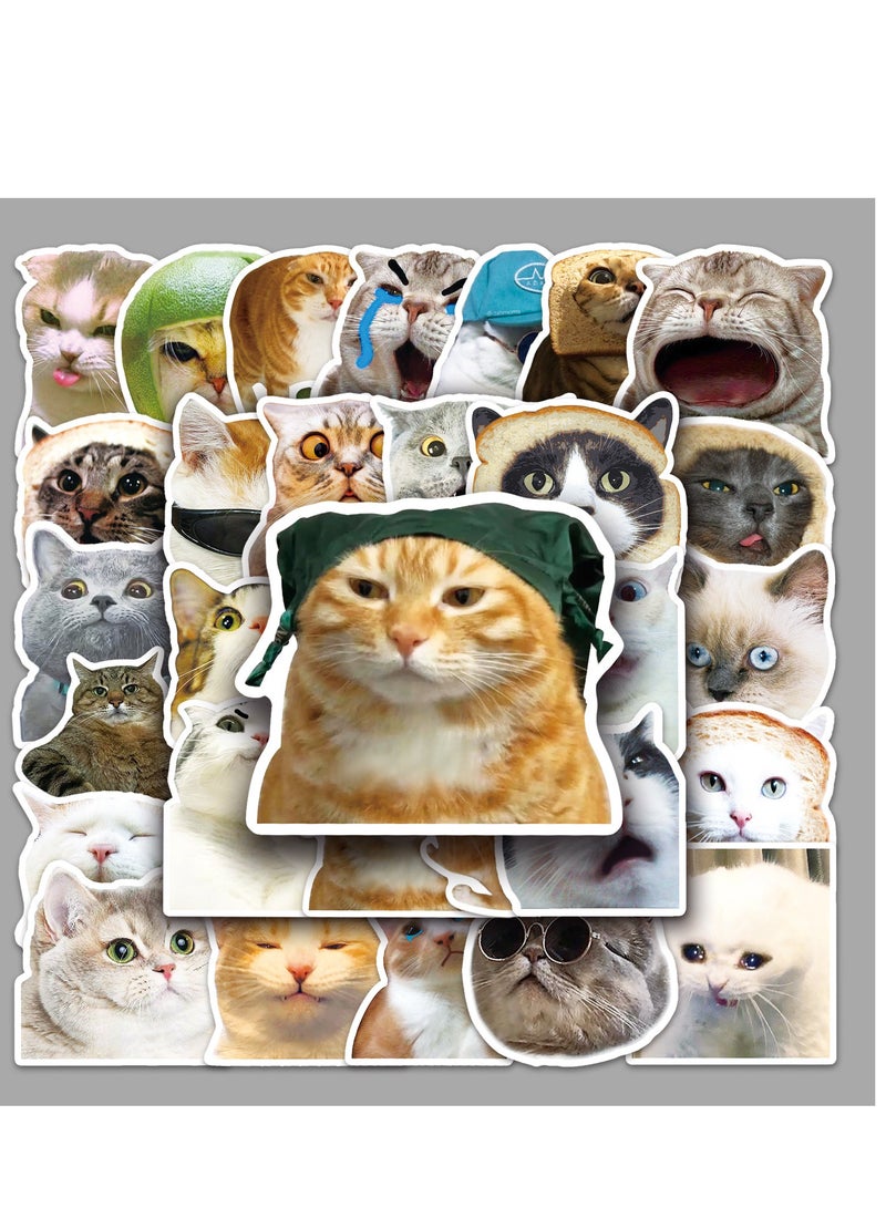 50 internet famous cat emoticons, graffiti, personalized hot items, account decorations, skateboards, water bottles, luggage stickers  - Image 1
