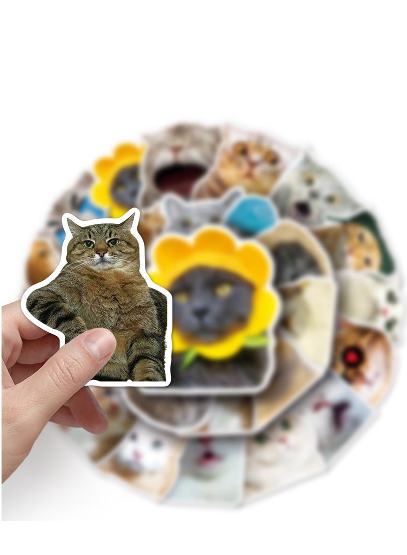 50 internet famous cat emoticons, graffiti, personalized hot items, account decorations, skateboards, water bottles, luggage stickers  - Image 3