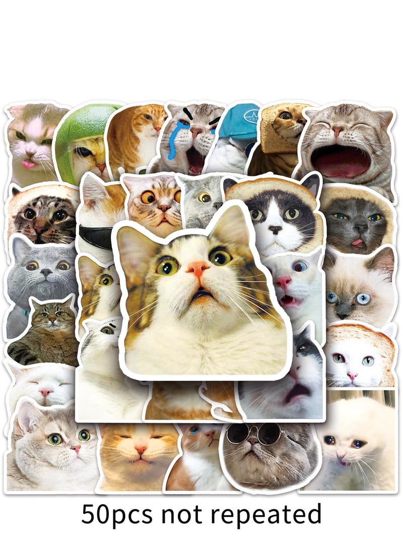 50 internet famous cat emoticons, graffiti, personalized hot items, account decorations, skateboards, water bottles, luggage stickers  - Image 4